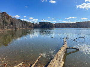 Looking Out on the water at a place to kayak in Latta Preserve near Charlotte, NC