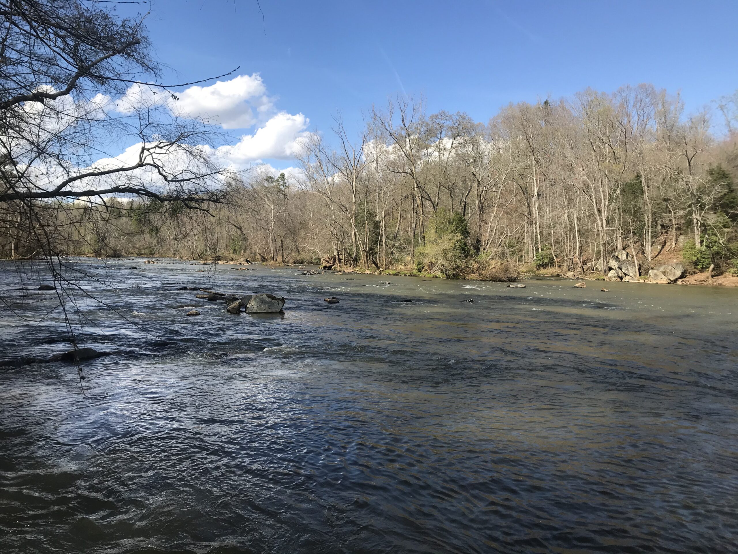 The Catawba South Fork River from the shore near McAdenville North Carolina