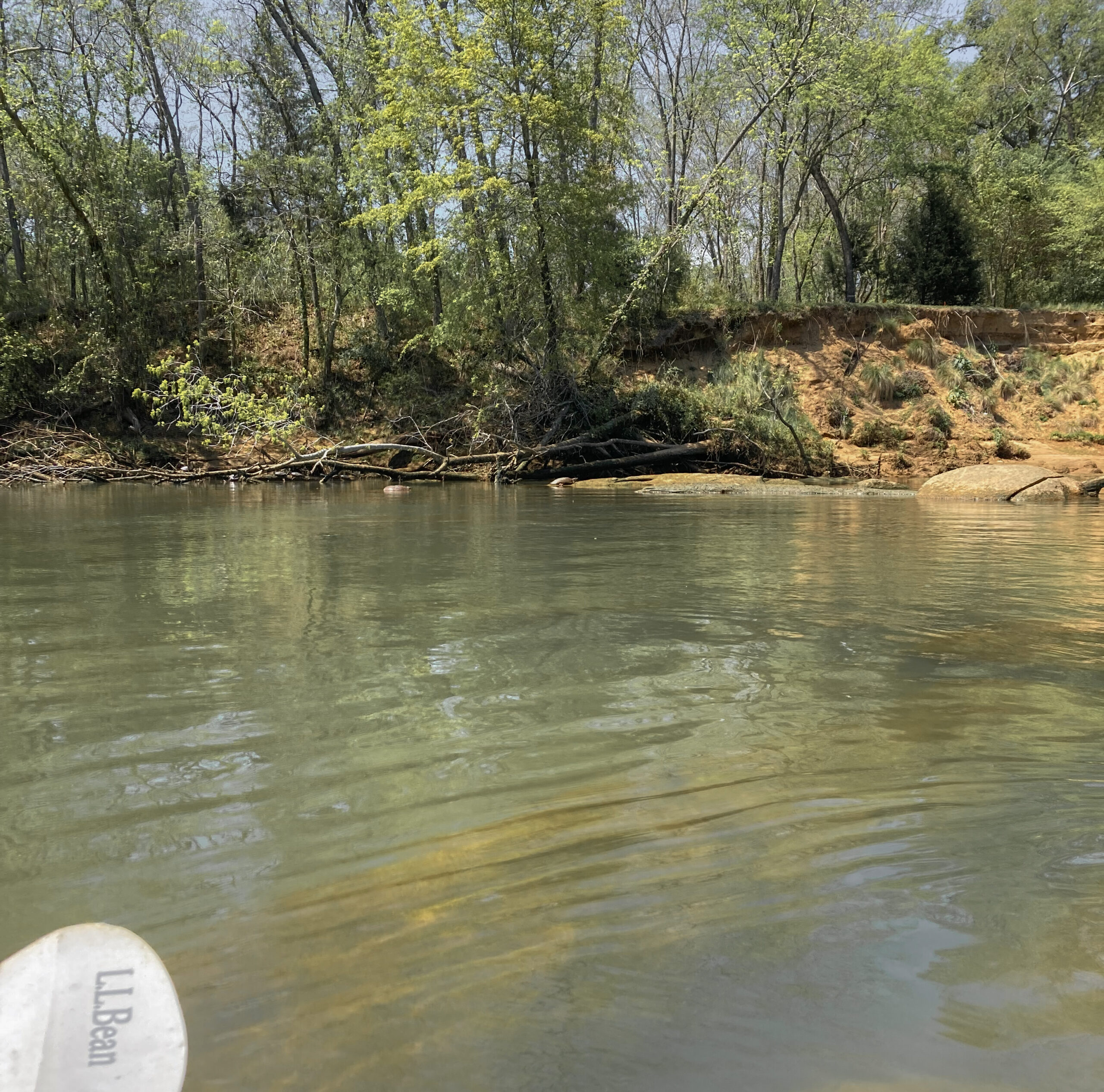 View from kayaker or Catawba River in Fort Mill.