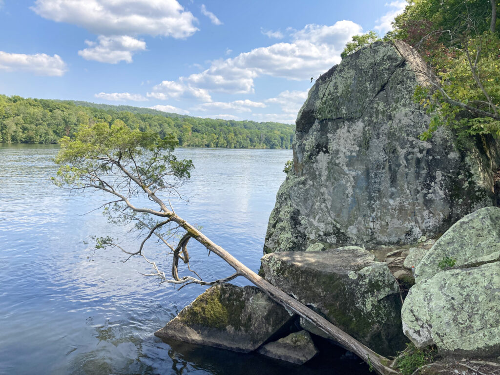 A rock leaning into the Yadkin River by Morrow Mountain State park