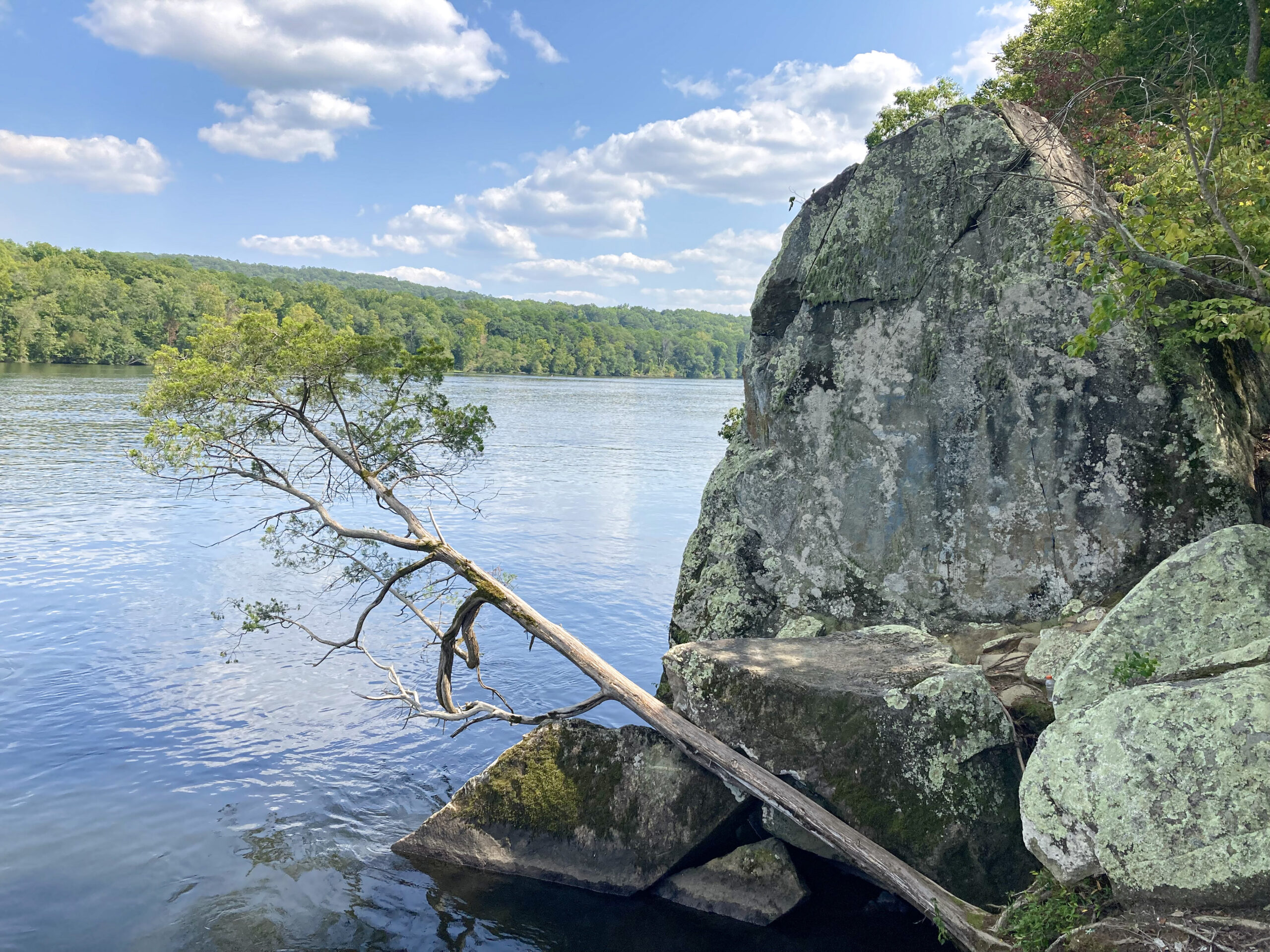 rock on Lake Tillery at Morrow Mountain State Park. 