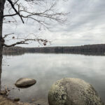 A picture looking out a Mountain Island Lake for Latta Nature Preserve on a winter day.