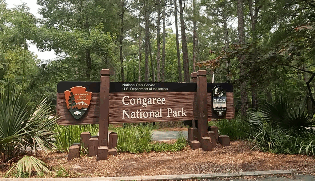 The main entrance sign at Congaree National Park.