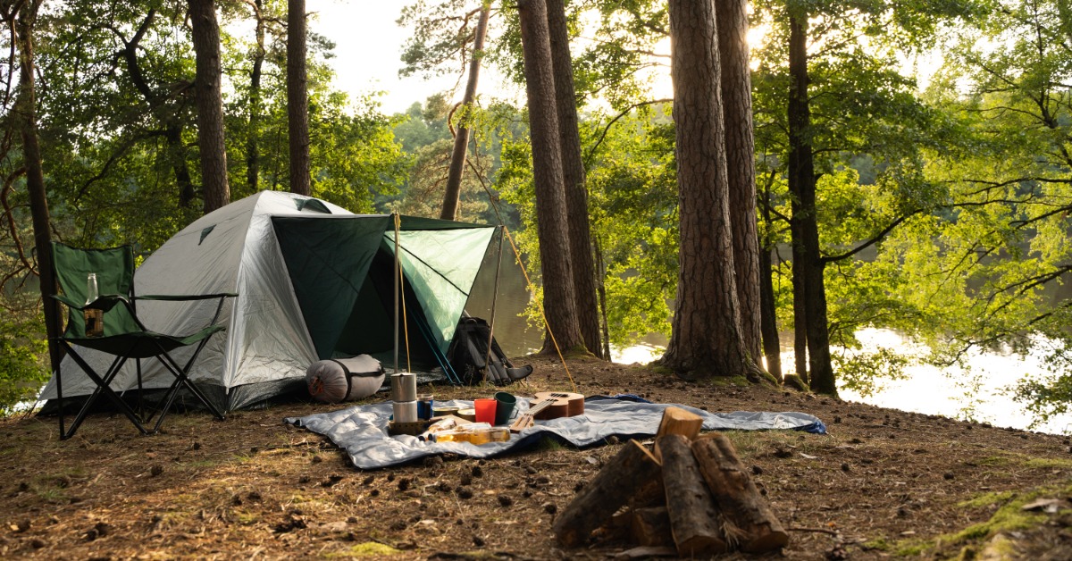 A campsite in the woods features a tent, a pop-up chair, a small wood pile, a blanket with food, and a backpack.